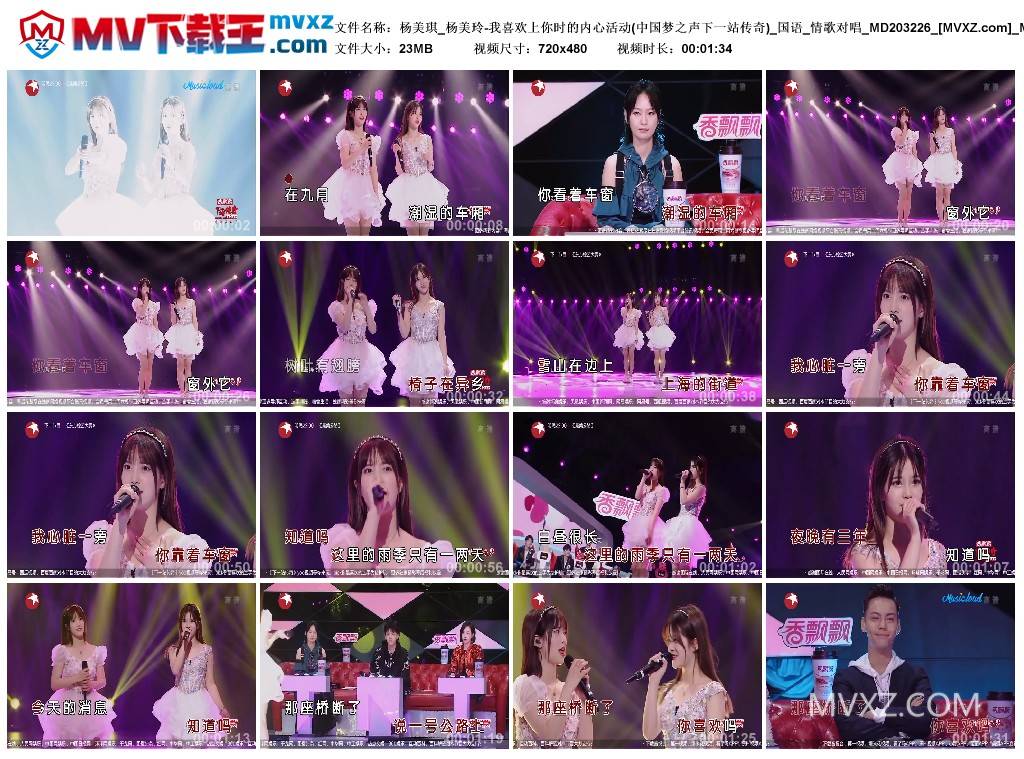 杨美琪_杨美玲-我喜欢上你时的内心活动(中国梦之声下一站传奇)_国语_情歌对唱_MD203226